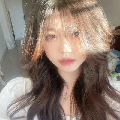 警察与女兵国语